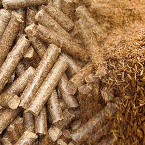 Composition and features of the use of rice husk