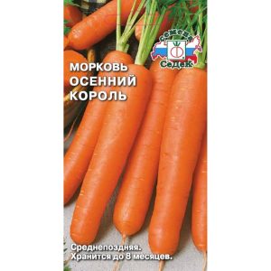 Mid-late Autumn King Carrot