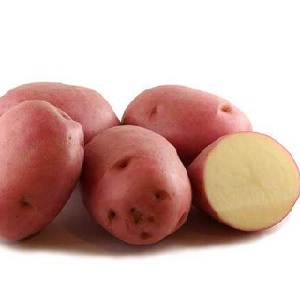 Mid-season potato variety Ryabinushka with pinkish peel