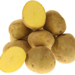 Table potato Krepish for a temperate climate