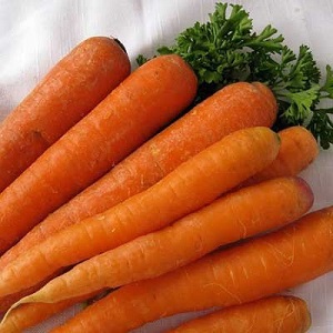 Ultra-early, unpretentious hybrid of Napoli f1 carrots