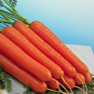 Ultra-early, unpretentious hybrid of Napoli f1 carrots