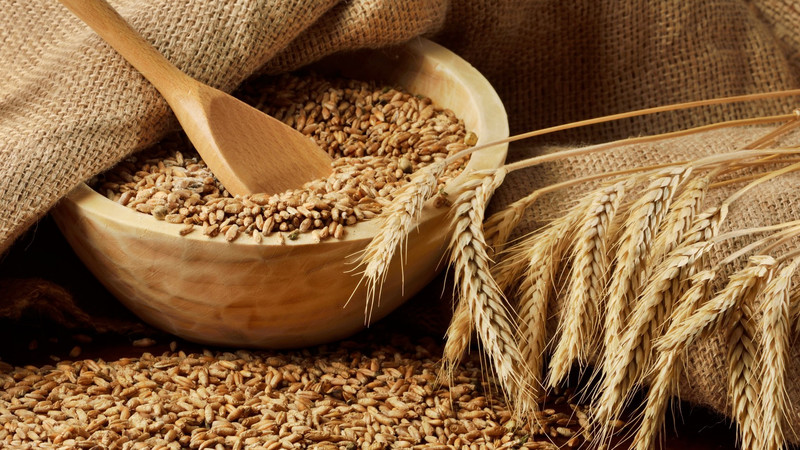 The fundamental difference between oats and barley