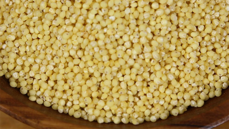 What is the Difference Between Millet and Millet