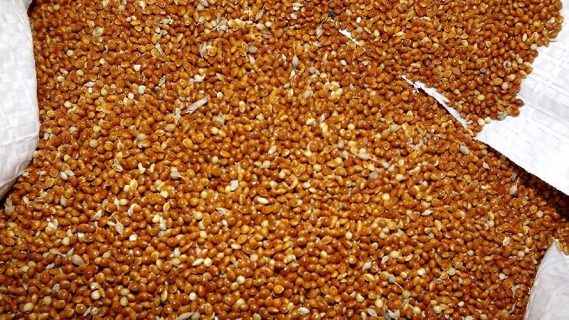 What is the Difference Between Millet and Millet