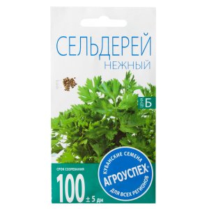 Growing and caring for leafy celery outdoors from planting to harvest