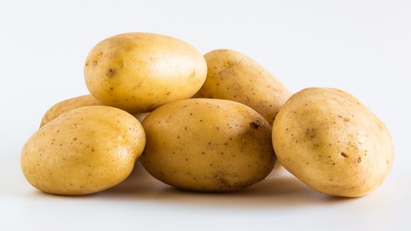 High-yielding potato variety Low maintenance farmer
