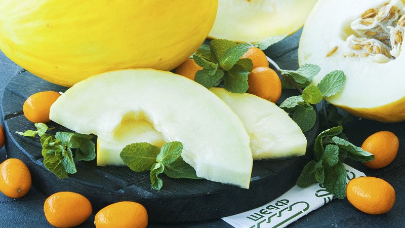 Whether melon is a diuretic or not: diuretic properties and rules of application