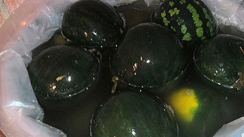 The most delicious recipes on how to salt watermelons whole in a barrel for the winter
