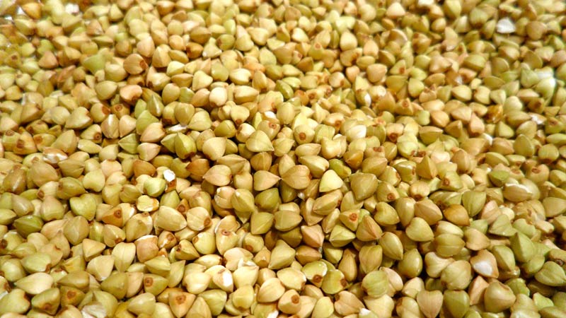 What is the difference between green buckwheat and ordinary buckwheat, which is more useful