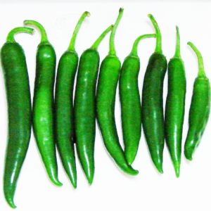 How to grow and apply green chili peppers and to whom is it contraindicated?
