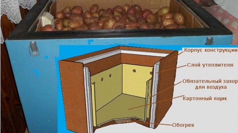How to store potatoes in the refrigerator and is it possible to do so