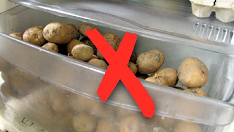 How to store potatoes in the refrigerator and is it possible to do so