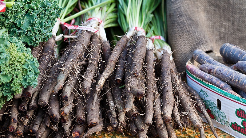What is black carrot juice: cultivation, preparation and application