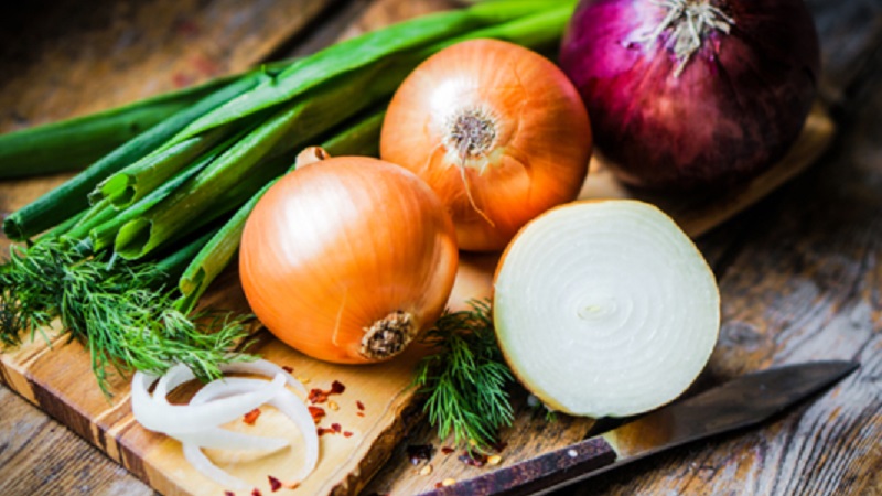 Where did the onion grief come from: why do we cry when we cut onions