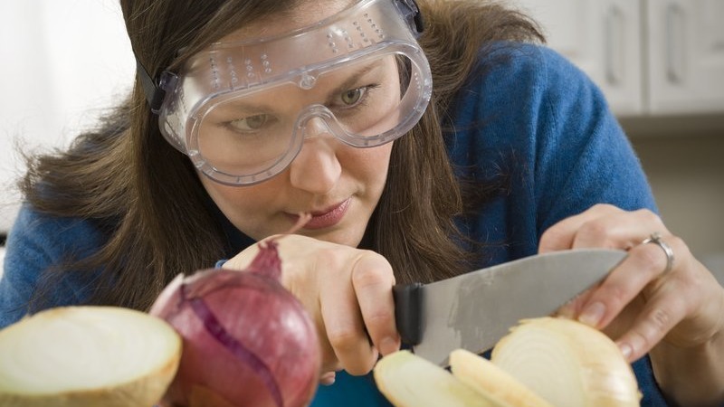 Where did the onion grief come from: why do we cry when we cut onions