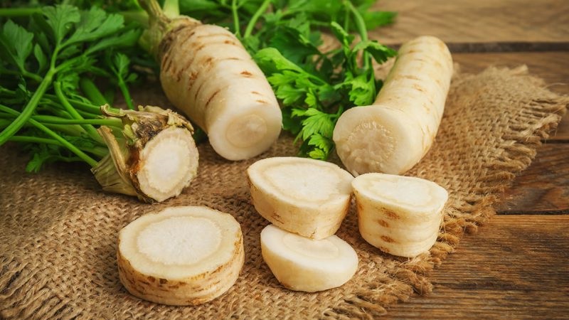 Healing parsley root: medicinal properties and contraindications