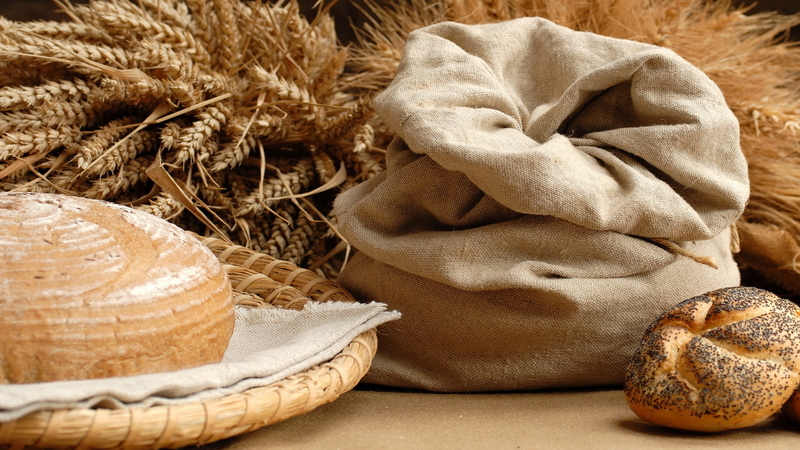 Overview of the winter wheat variety Yuka