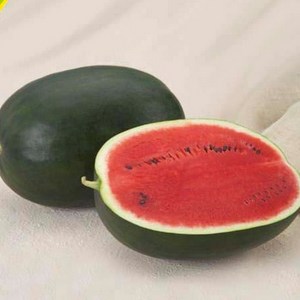 How to keep a watermelon in the cellar until the new year - 7 best ways