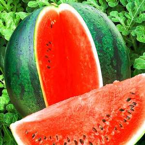 How to keep a watermelon in the cellar until the new year - 7 best ways