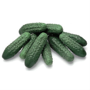 The best varieties of cucumbers for growing in Siberia in a greenhouse and open field