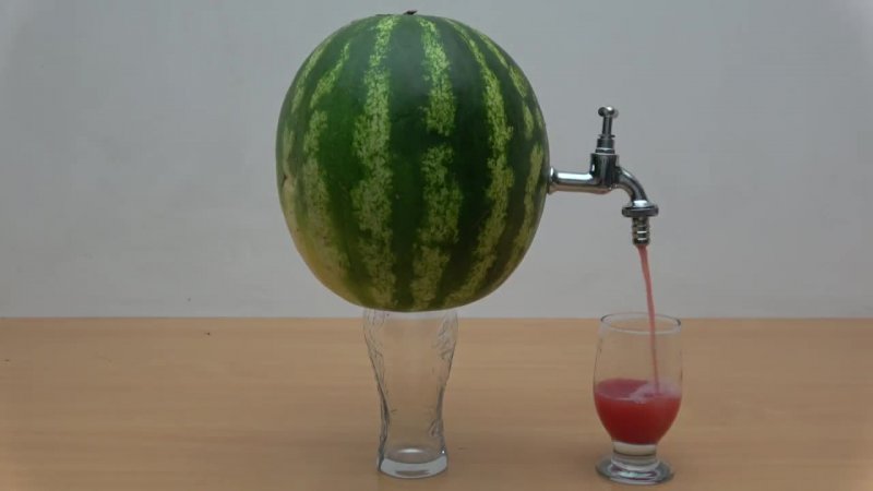 Is it possible to eat overripe watermelon and what to cook from it