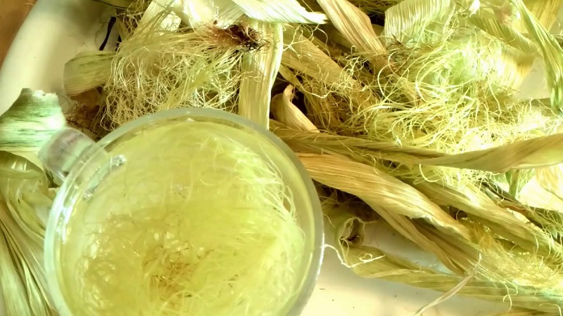 We study the structure of corn from A to Z: what parts the vegetable consists of and where each part is applied