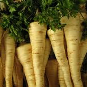 The best ways to harvest parsley for the winter in dry, frozen and canned form