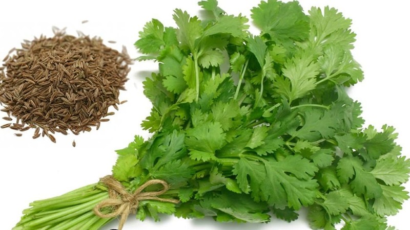 Why parsley was banned in Russia: are narcotic substances present in the plant?