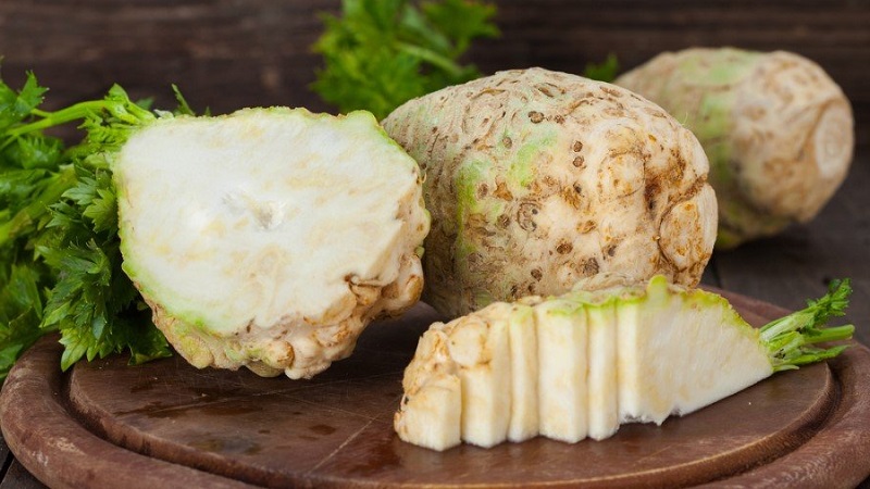 Celery root: how to eat for weight loss and treatment