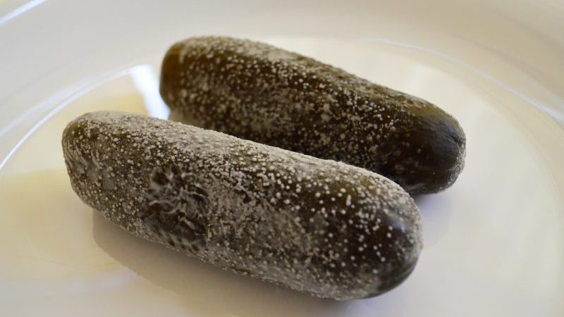 Why does a white bloom appear on pickled cucumbers and is it possible to eat them