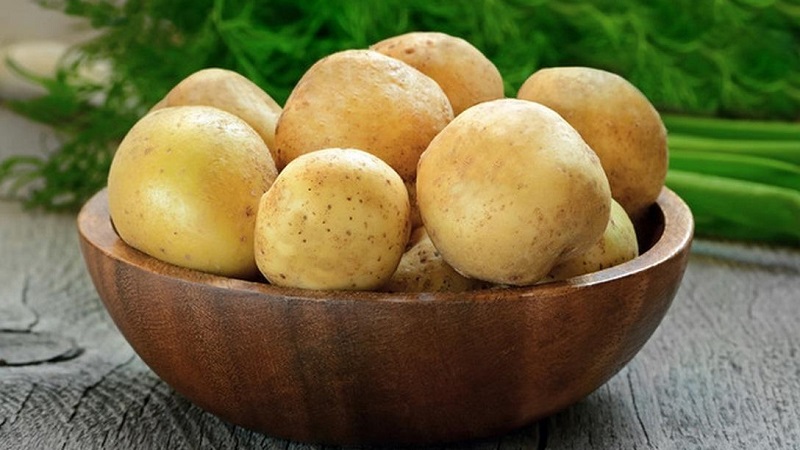 Is there diarrhea or constipation from potatoes and is it possible to eat it in such cases