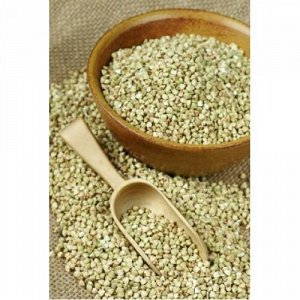 Why green buckwheat is good and how to cook it correctly