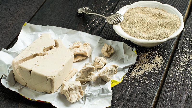 What is useful for feeding cucumbers with yeast and how to apply it correctly
