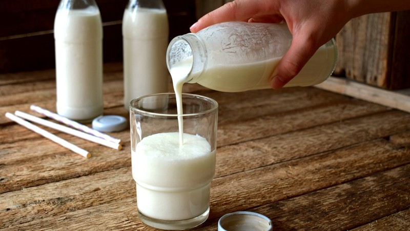 Why raw buckwheat with kefir is useful: we lose weight and cleanse the body with the help of the simplest combination
