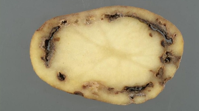 What to do if there are brown streaks inside the potato