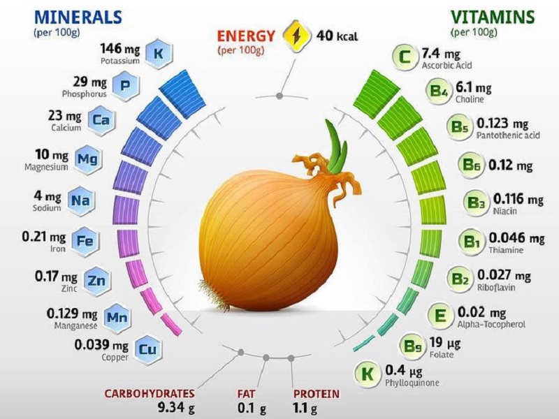 What is contained in onions: what vitamins and minerals