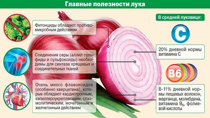 What is contained in onions: what vitamins and minerals