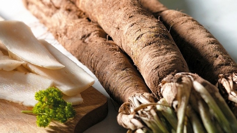 What is black carrot: where does it grow and does it really exist