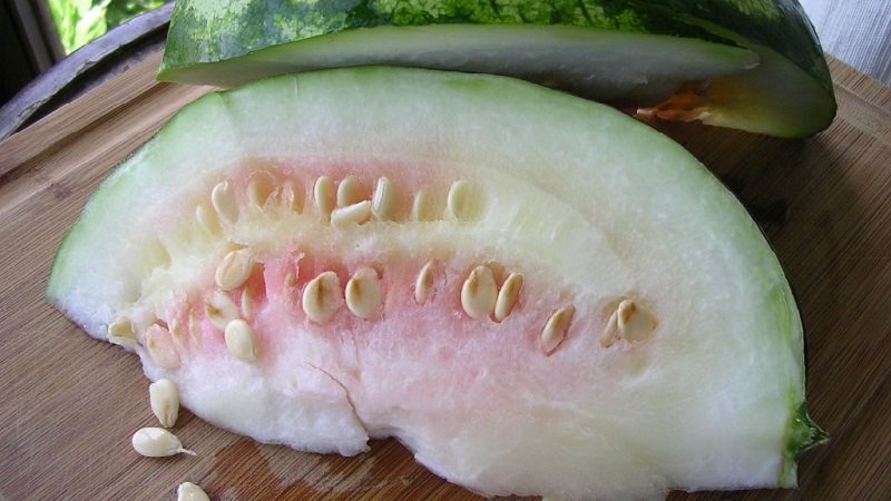 What is a feed watermelon, who is it fed and how does it differ from the usual