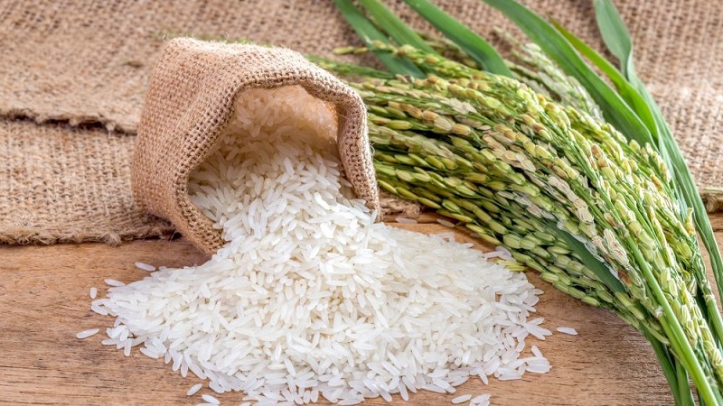 Where and how rice grows, and is it possible to grow it at home