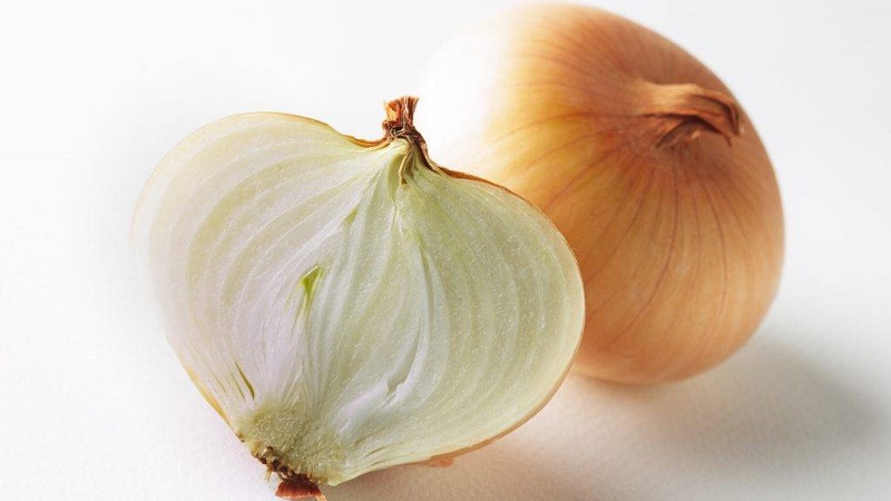 Hybrid onion Hercules: is it possible to plant before winter and cultivation features