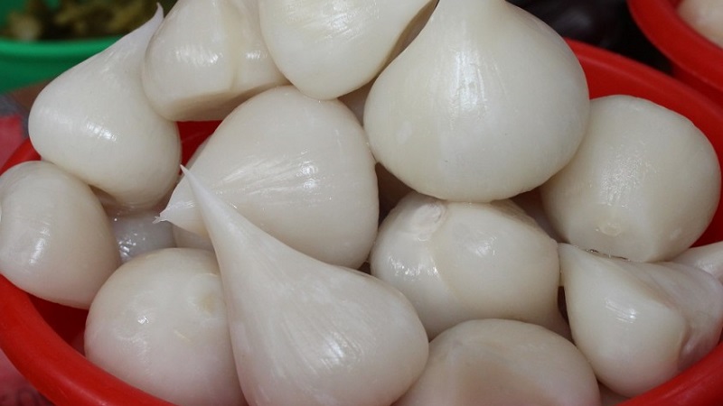Giant garlic onion Anzur: description and characteristics