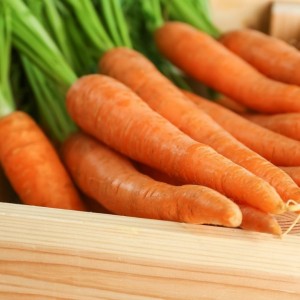 Storing carrots in winter: the best varieties with excellent keeping quality