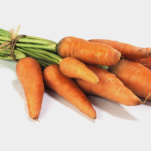 Storing carrots in winter: the best varieties with excellent keeping quality