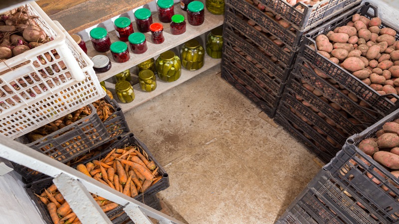 How to store potatoes in the same cellar with apples and is it possible to do so