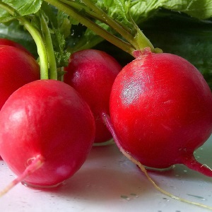 What family does the radish belong to, its characteristics and description