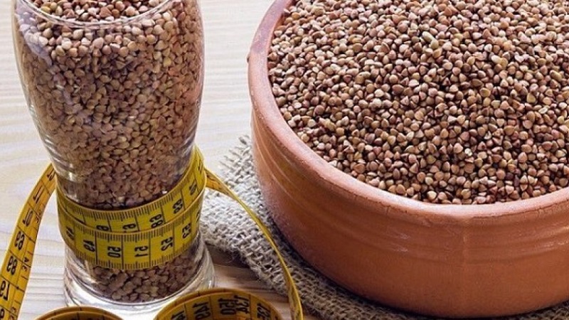 How to eat buckwheat to lose weight: how many grams you can per day