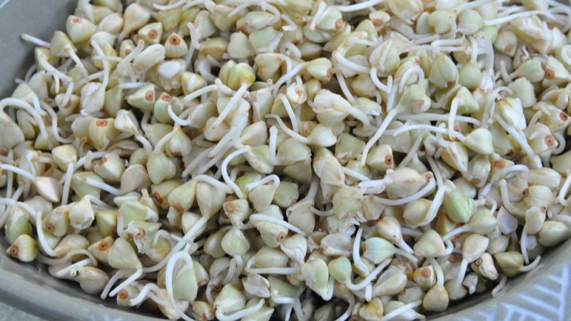 How to cook green buckwheat for weight loss: different processing methods and the best recipes