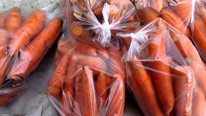 Best ways to store carrots after harvest until spring